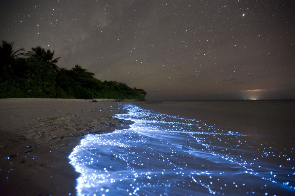 breathtaking-sea-of-stars-maldives