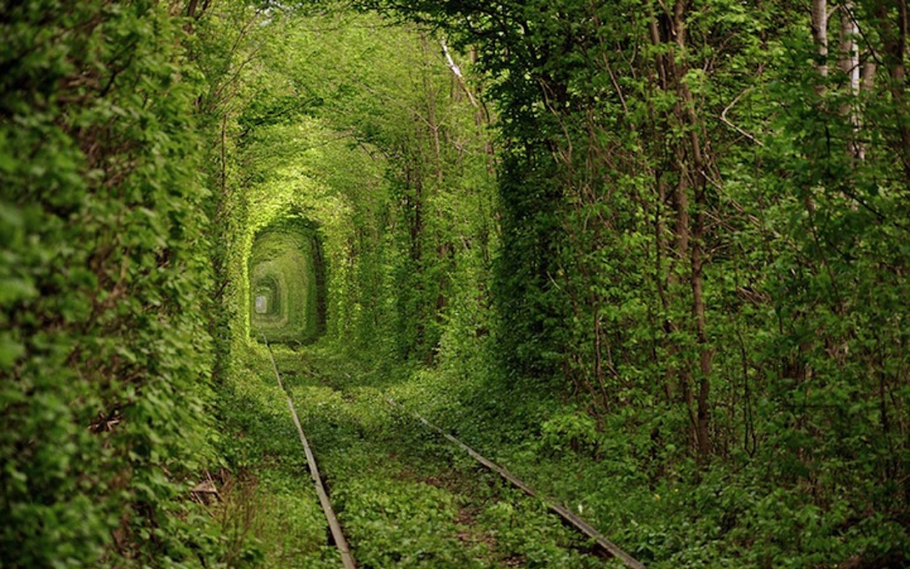 breathtaking-tunnel-of-love-klevan-ukraine