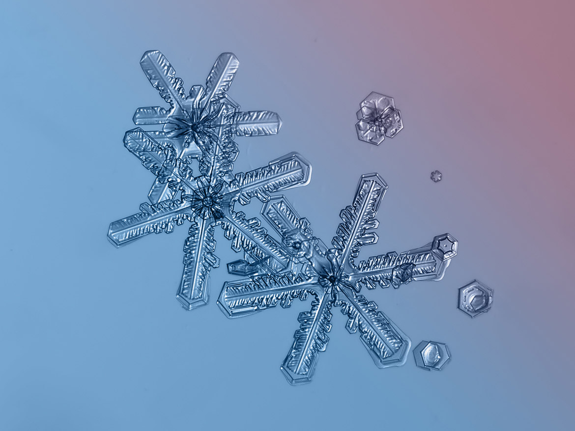 magnified-snowflakes-alexey-kljatov-09