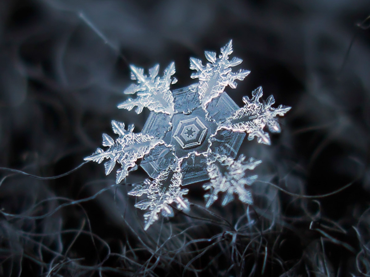 magnified-snowflakes-alexey-kljatov-11