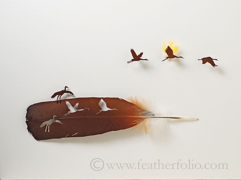 feather-artistry-chris-maynard-15