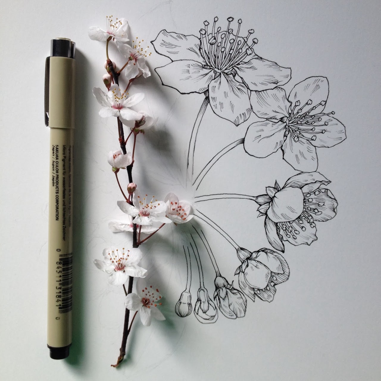 flower-illustrations-noel-badges-pugh-04