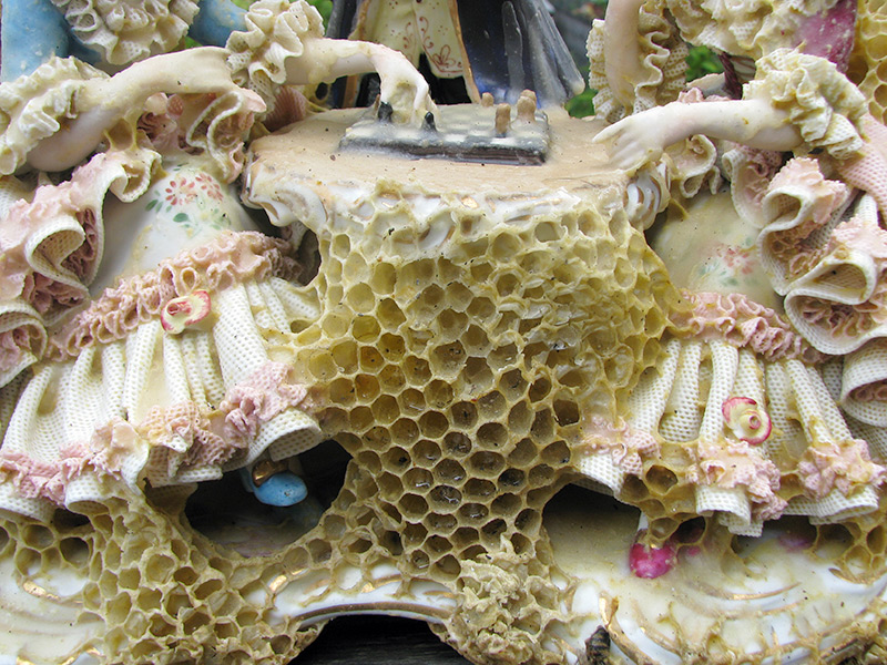 honeycomb-sculptures-aganetha-dyck-04