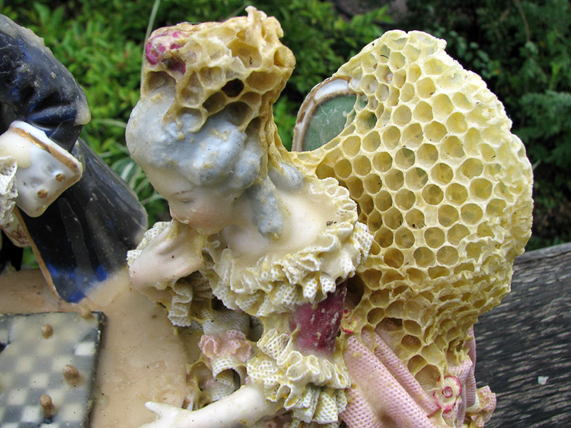 honeycomb-sculptures-aganetha-dyck-05