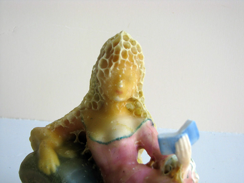 honeycomb-sculptures-aganetha-dyck-09