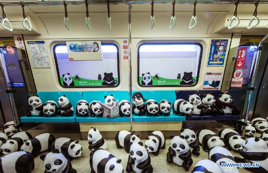 pandas-world-tour-19