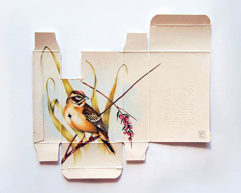 birds-painted-on-pharmaceutical-boxes-sara-landeta02