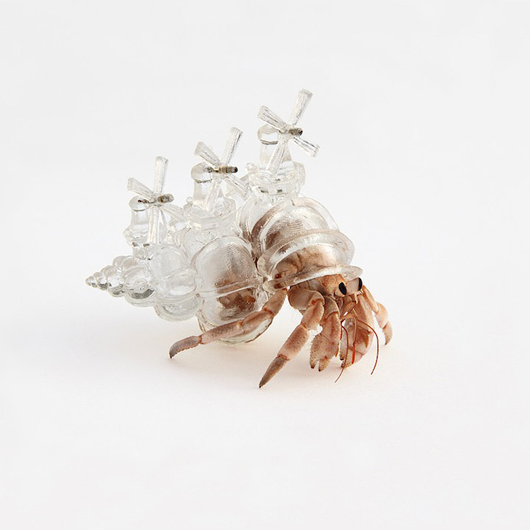 hermit-crab-3d-printed-shells-aki-inomata-01