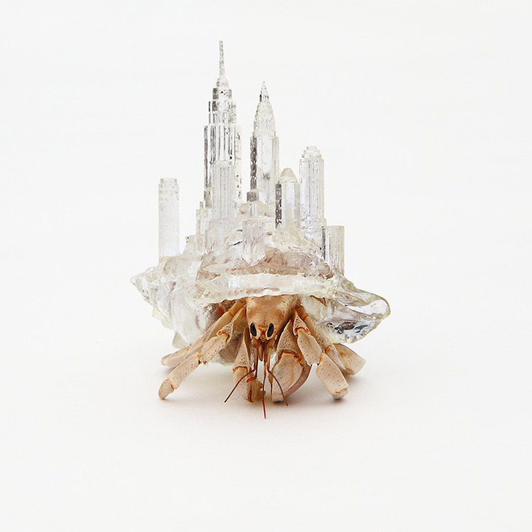 hermit-crab-3d-printed-shells-aki-inomata-02