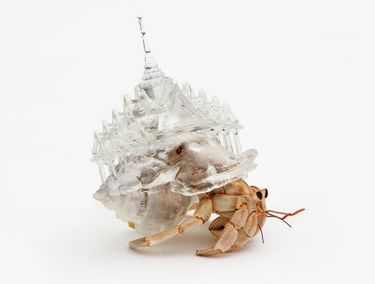 hermit-crab-3d-printed-shells-aki-inomata-08