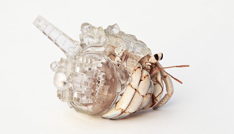 hermit-crab-3d-printed-shells-aki-inomata-09