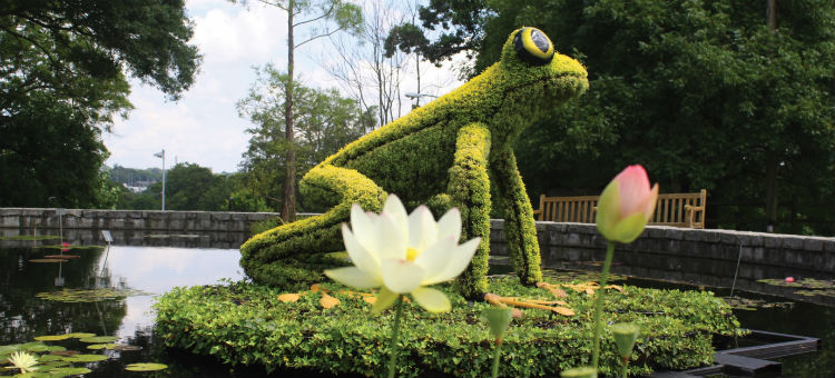 frogs_Atlanta_Botanical_Garden-07