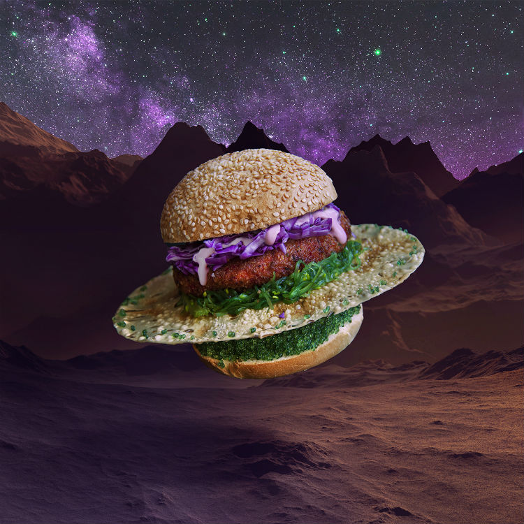 fat_n_furious_ufo_burger
