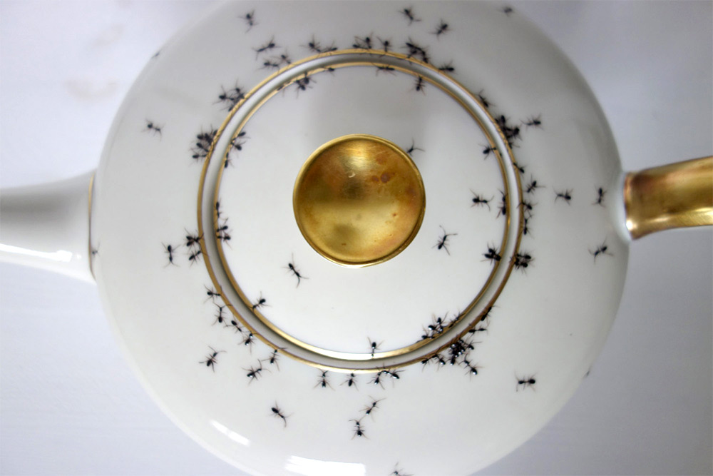 porcelain-ants-02-evelyn-bracklow-05