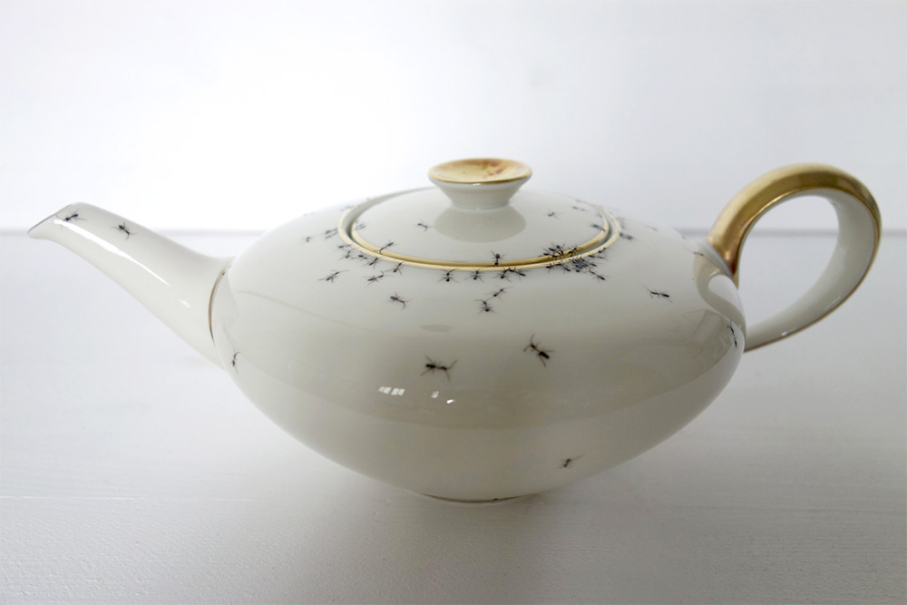 porcelain-ants-02-evelyn-bracklow-06