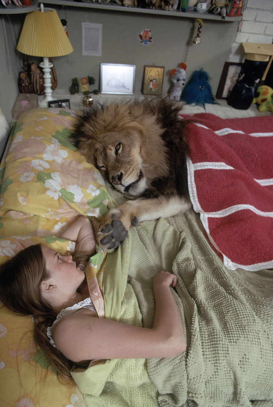 living-with-a-lion-life-10