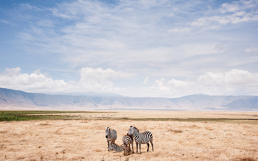 national-geographic-winners-2014-03