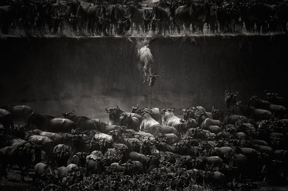 national-geographic-winners-2014-5
