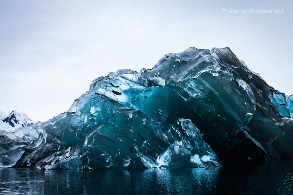 flipped-iceberg-alex-cornell-01