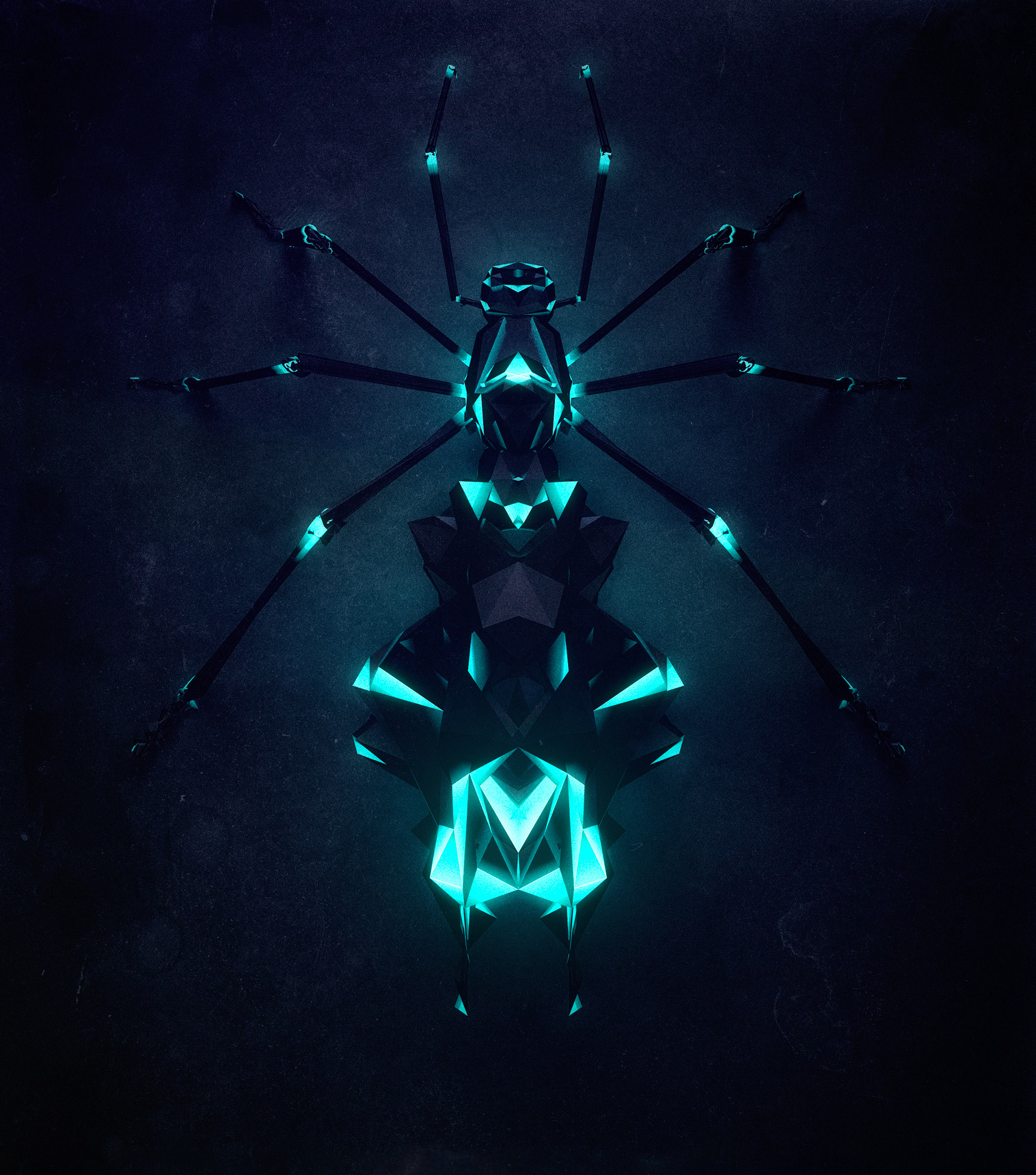 polygonal-insects-istvan-11