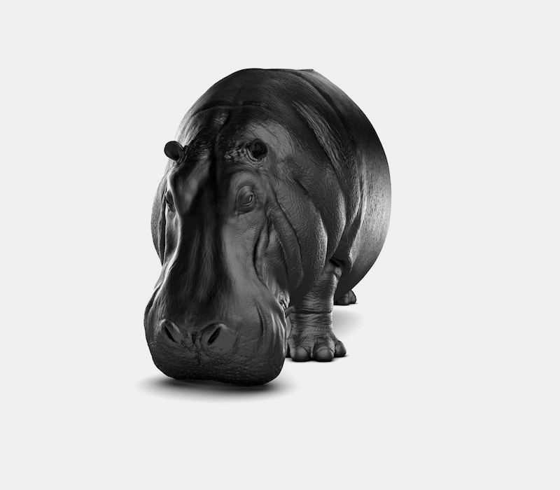 hippo-chair-maximo-riera-03