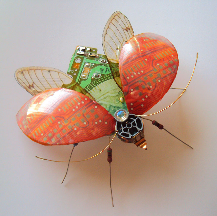 insects-julie-alice-chappell-07