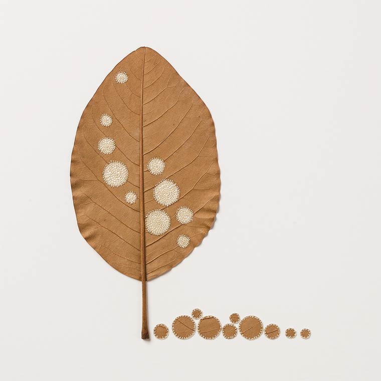 Susanna-Bauer-Leaf-Art-07