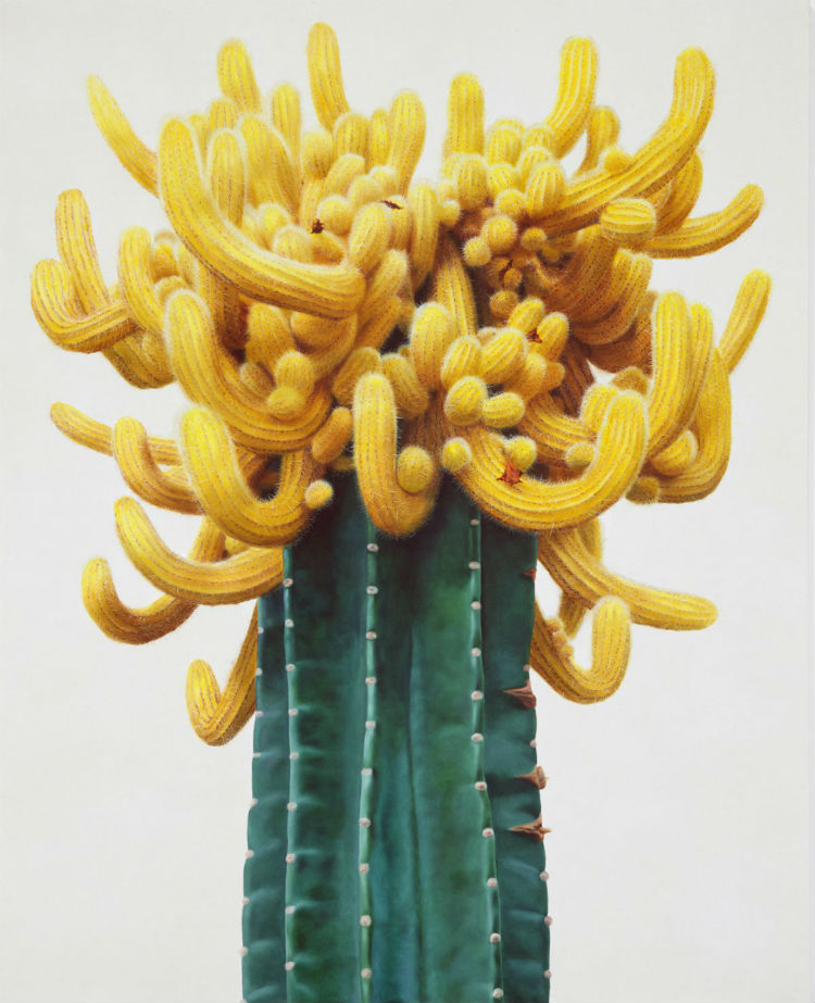 kwang_ho_lee_touch_hyperrealist_cactus