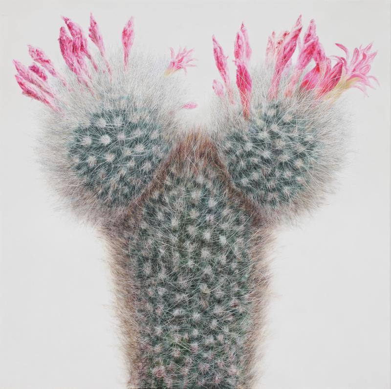kwang_ho_lee_touch_hyperrealist_cactus_04