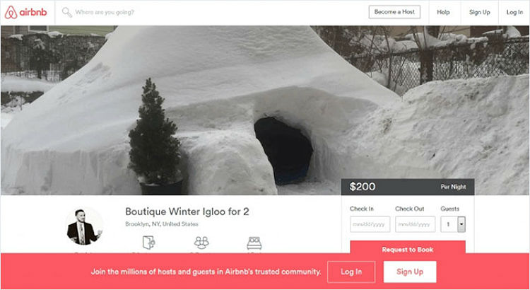 Patrick-Horton-builds-igloo-airbnb-brooklyn-new-york-blizzard-2016-01