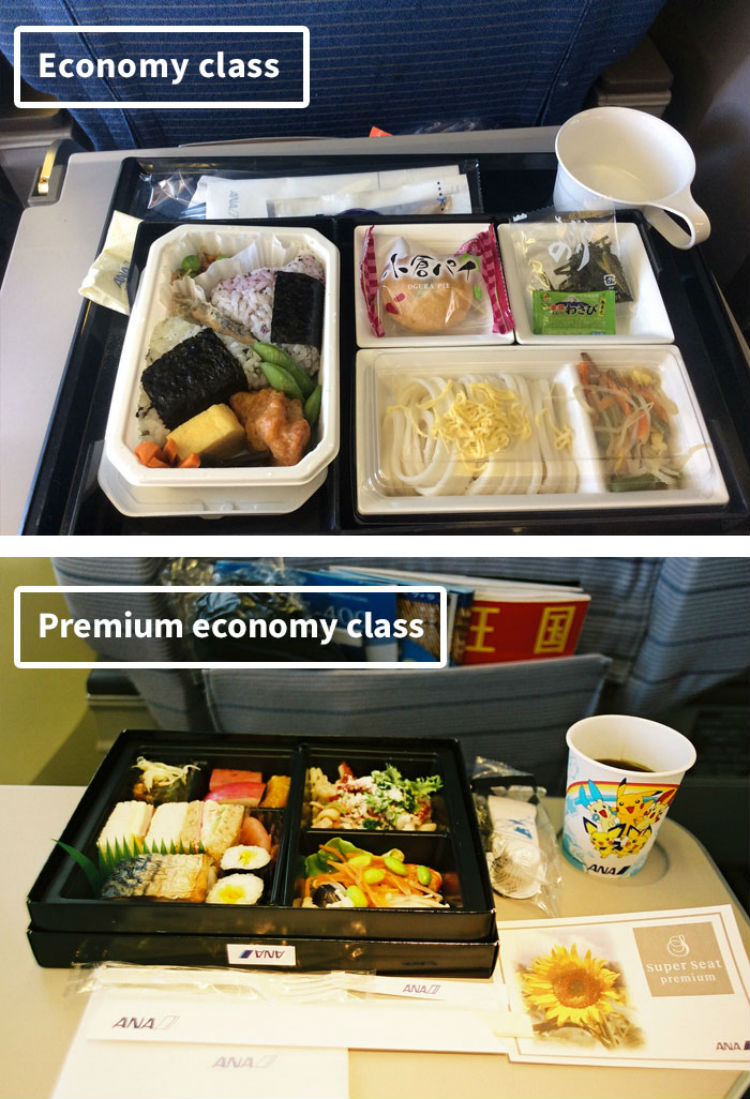airline-food-business-vs-economy-compared-ana-airlines