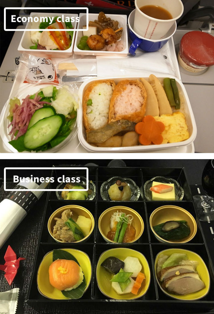 airline-food-business-vs-economy-compared-japan-airlines