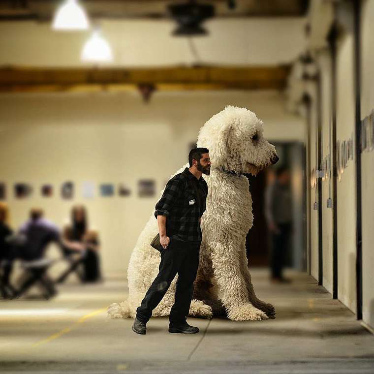 Christopher-Cline-giant-dog-juji-07